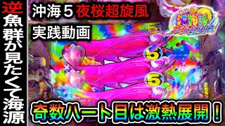 【329日目】Pスーパー海物語in沖縄5で逆魚群が出したい！！（ガチ実践動画2022/8/21）