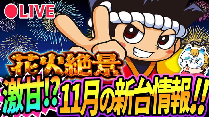 【11月新台情報！】花火絶景解説！