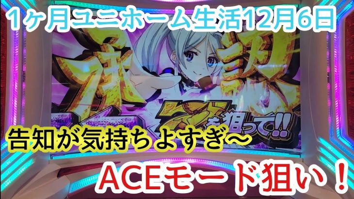 スーパーリオエース 1ヶ月ユニホーム生活12月6日 スロット パチスロ 完全告知 アリス ブラックティーカップボーナスエースモード パチスロ 新台 6.5号機 Rio 金7揃い ace mode