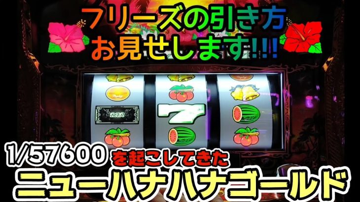 フリーズの引き方お見せします!!!【ニューハナハナゴールド】＃155【パチスロ・スロット】
