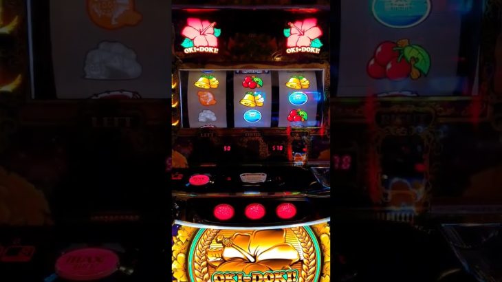 【新台】【金ドキ】遂に沖ドキも2400枚超える日がきた#沖ドキ#スロット新台