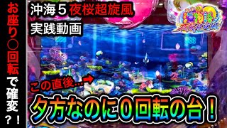 【467日目】Pスーパー海物語in沖縄5夜桜超旋風！常連さんが避けてた台に座ると○回転で確変？！（ガチ実践動画2022/11/29）