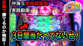 【470.471日目】Pスーパー海物語in沖縄5夜桜超旋風！3日間当たり無しの台は反動で勝てるのか検証実践！（ガチ実践動画2022/12/8）