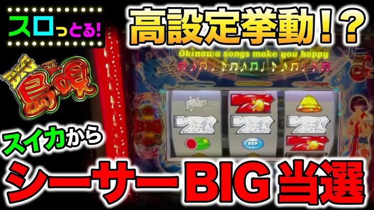 【パチスロ SBIG島唄30】スイカ瞬きからの白7降臨！？ 島唄 パチスロ実践005回目 6.5号機新台実践【ごみくずリーマンスロッター】【サラスロ】