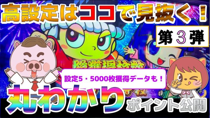 【花火絶景・高設定判別】設定56はココで見抜く！丸わかりポイント公開！