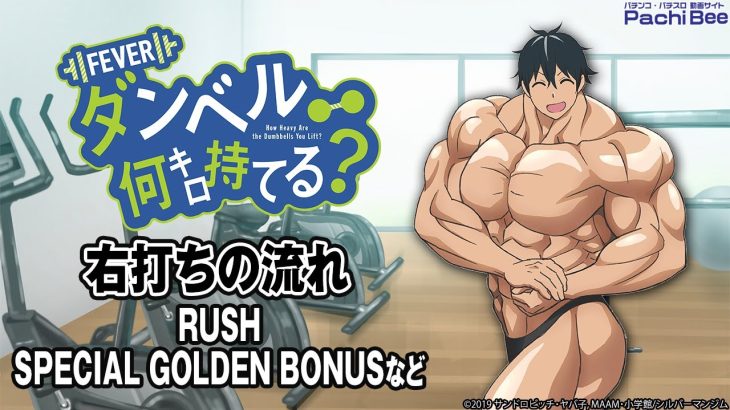 【Pフィーバーダンベル何キロ持てる？】右打ちの流れ(RUSH／SPECIAL GOLDEN BONUSなど)【パチンコ】【パチスロ】【新台動画】