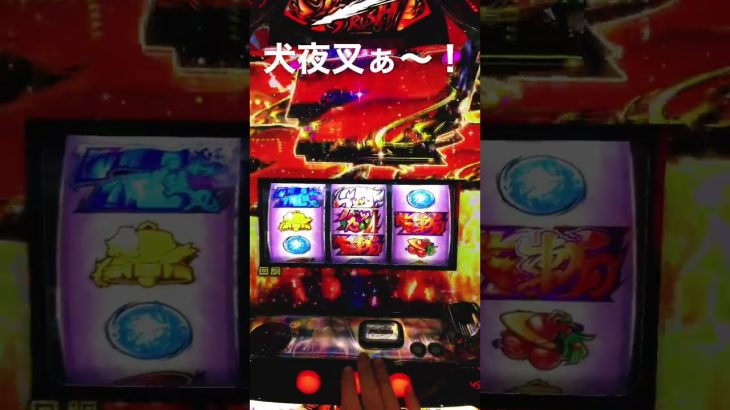 犬夜叉ぁ〜！ #スマスロ #パチンコ好きと繋がりたい #shorts #パチンコ女子 #パチスロ #パチスロ実践 #パチンコあるある #パチンコ配信 #パチスロライブ #攻略 #犬夜叉 #オールナイト