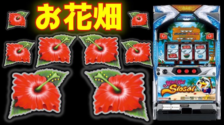 【全日本沖スロ普及委員会公認動画】設定6挙動のハイハイシオサイ2打ったら光り過ぎてボーナスがかっぱえびせん【パチンコ、パチスロビュッフェスタイル】