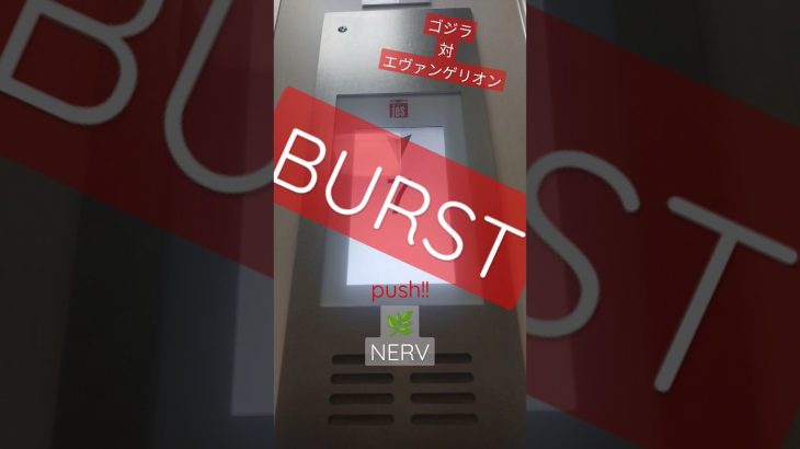 【ゴジエヴァ】神業攻略法　大当たりの瞬間#ぱちんこパチスロ#エヴァゴジ#ゴジエヴァ#脳汁