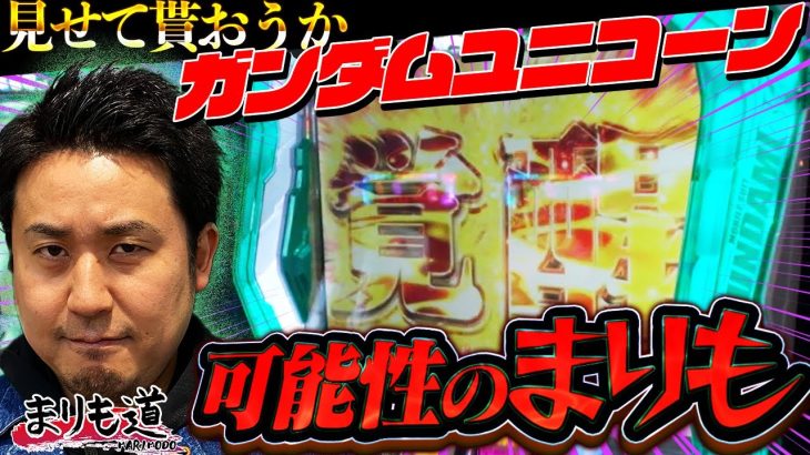 【レベルMAX到達】大量出玉獲得を目指す中、まりもが覚醒する！？【まりも道】【第178話】