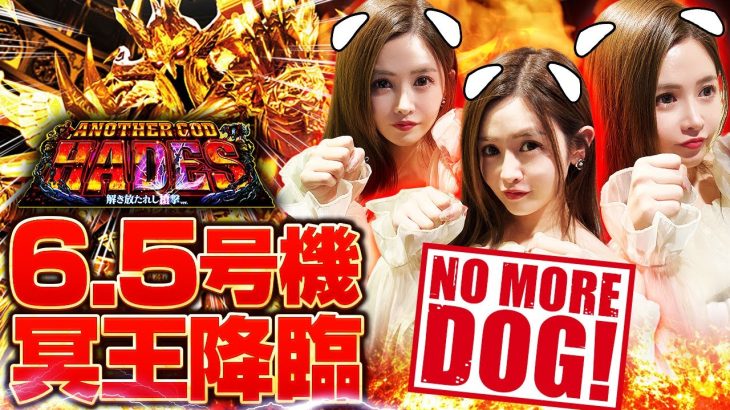 【アナザーゴッドハーデス-解き放たれし槍撃ver.-】 新台徹底捜査!!ユウリ捜査官が6.5号機のハーデスで冥王降臨!!「ど〜やねん!?新台マルッと捜査」