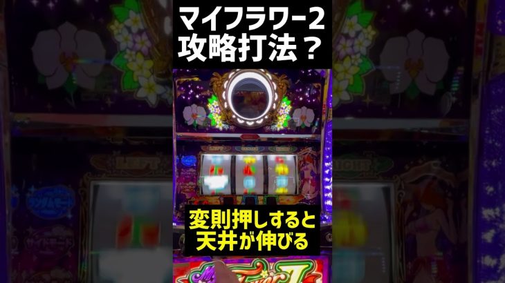 マイフラワー2に攻略打法？ #スロット #パチンコ