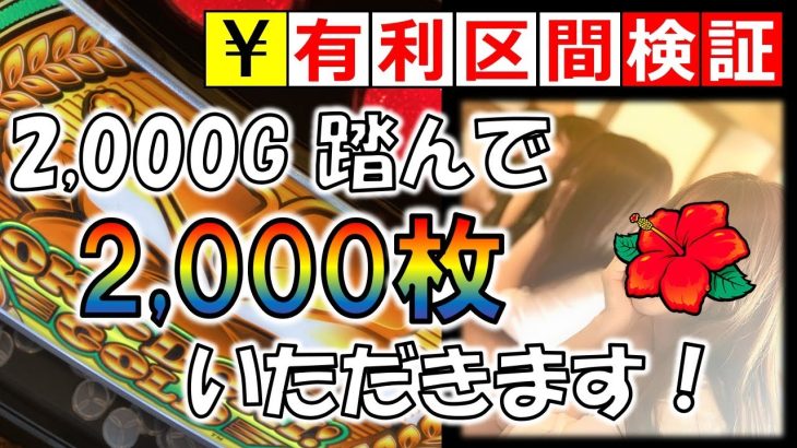 押忍！有利区間2,000G後のボーナス【沖ドキ！ゴールド】vol.69 パチスロ・スロット