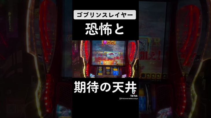 【80%ループ】ゴブリンスレイヤーどこまでヤレんの？結局【スロット 新台】