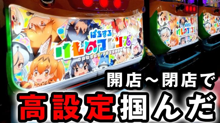 【開店〜閉店】純増9.5枚の爆裂機で朝一から高設定掴んだ [けものフレンズ] 桜#368