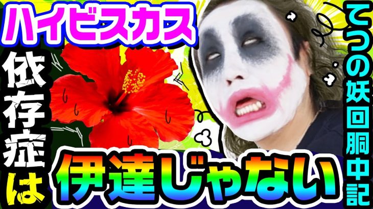 ハイビスカス依存症は伊達じゃない｜1GAMEてつの妖回胴中記# 196【パチスロ・スロット】