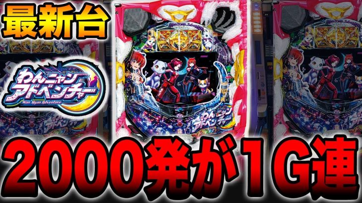 新台【わんニャンアドベンチャー】2000発が1G連するパチンコ台