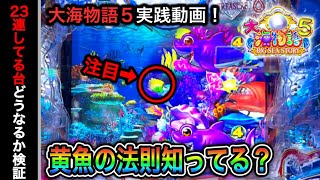 【526日目】大海物語5実践動画！昨日23連している台はどうなるのか検証実践（ガチ実践動画2023/5/27）