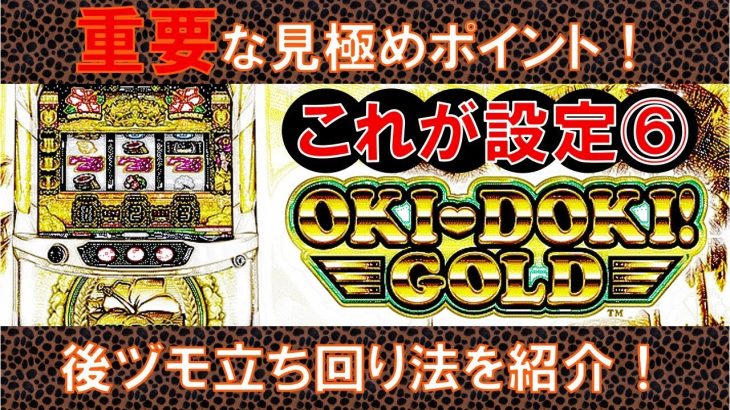 こぜ6挙動【沖ドキ！ゴールド】後ヅモ攻略法 vol.72 パチスロ・スロット