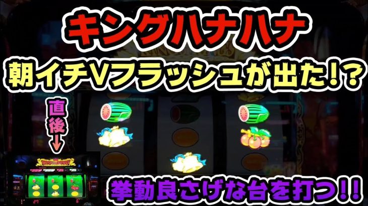 【キングハナハナ】朝イチVフラッシュがでた!?挙動良さげな台を打つ!!＃203