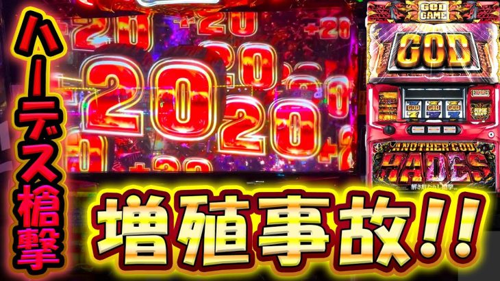 【6.5号機ハーデス】なにこの足！？犬じゃないプレミアでハーデス確定の激アツ展開！【スロット】【アナザーゴッドハーデス-解き放たれし槍撃ver.】【養分稼働 242話】