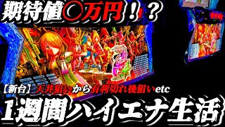 【検証】1週間ハイエナ生活 戦国乙女4編