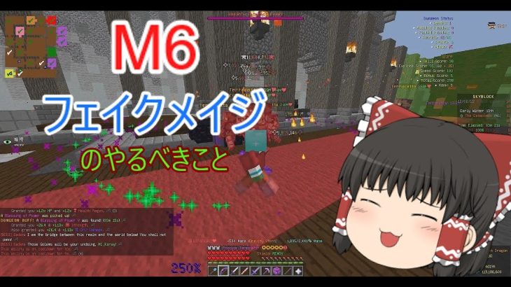 M6フェイクメイジの立ち回りをざっくり解説【M6にこれから行く人向け】