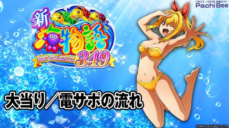 【e新海物語349】大当り／電サポの流れ【パチンコ】【パチスロ】【新台動画】