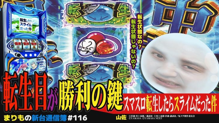 新しい試みにまりも興味津々!! 転生目も出るよ!! [スマスロ転生したらスライムだった件]まりもの新台通信簿#116