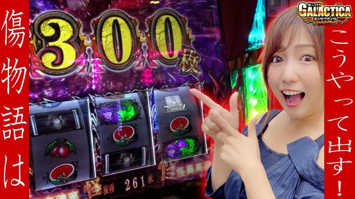 【パチスロ傷物語】中段チェリーでエンディングまで届く!? 河原みのりは有利区間リセットから降臨ノ儀を引きたい!「ギャラクティカ～第146回～」[パチスロ][スロット][パチスロ傷物語 -始マリノ刻-]