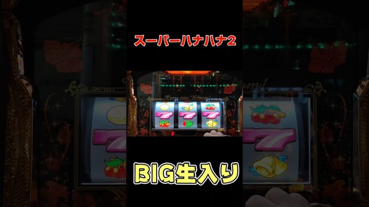 スーパーハナハナ2【BIG生入り】 #shorts