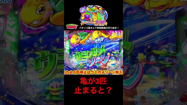 スマパチ新海物語！パチンコ屋さんでの実践動画の切り抜き！#海物語 #新海物語 #大海物語5 #ほびぱち