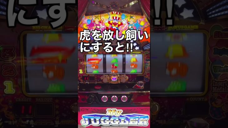 【虎の放し飼い】マイジャグラー5 #Shorts