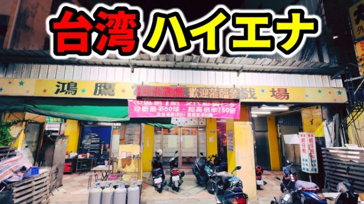 【台湾】本気ハイエナ期待値稼働7台実践
