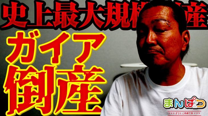 ガイアに何が起きていたのか【民再手続きへ】