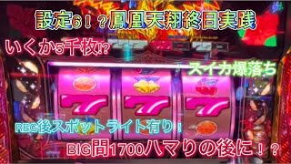 ハナハナ鳳凰天翔終日実践！いくか5千枚⁉︎ #ハナハナ #パチスロ