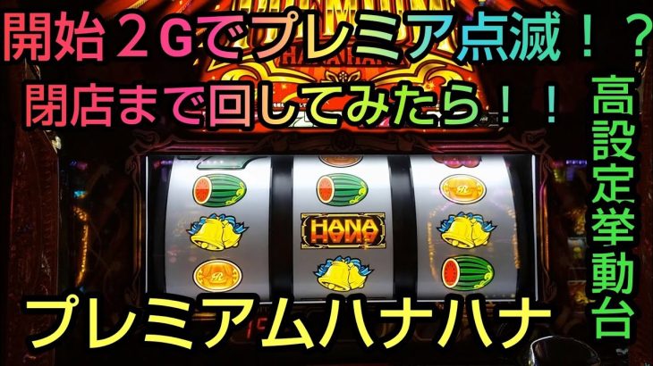 パチスロ【プレミアムハナハナ 】開始２Gでプレミア点滅！？高設定挙動を夕方から閉店まで打つ！！#40