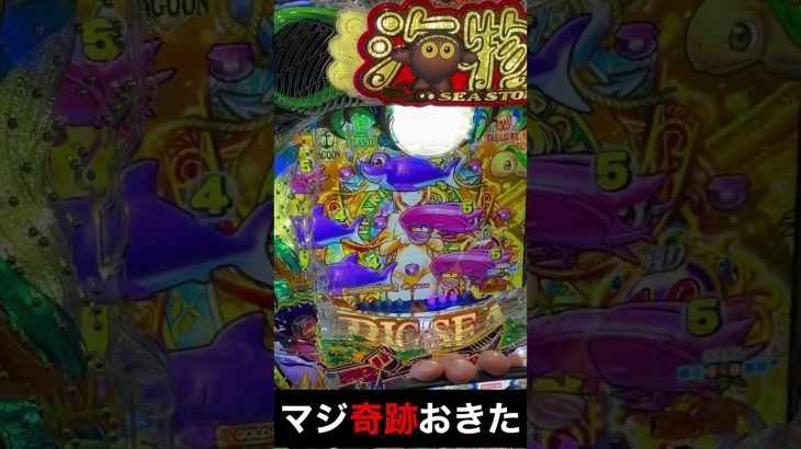 新台！大海物語5ブラック！実践動画収録中のネタバレ！（編集部ビル君撮影中）#大海　#海物語 #shorts #ほびぱち