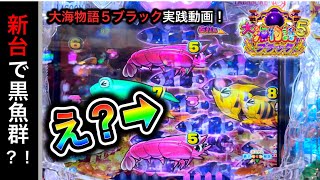 【582日目】新台大海物語5ブラック実践動画！導入初日は勝てるのか？（ガチ実践動画2023/12/4）