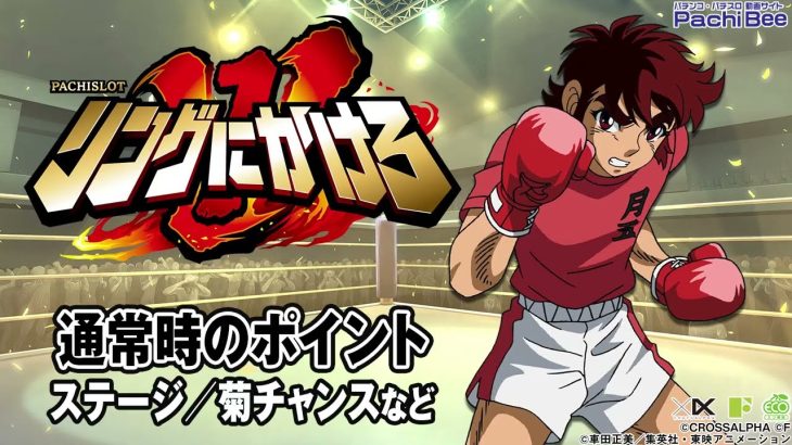 【L リングにかけろ1 V】通常時のポイント(ステージ／菊チャンスなど)【パチンコ】【パチスロ】【新台動画】