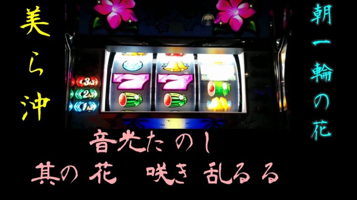 美ら沖(ちゅらおき)朝一の立ち回り！安心して打つため(ヤメ時：設定示唆)に憶えておくこと【七匠】(ななしょう)