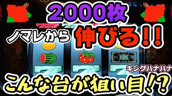 【キングハナハナ】2000枚ノマレから伸びる!?【ryupachiチャンネル沖縄パチンコ·パチスロ実践動画】#245