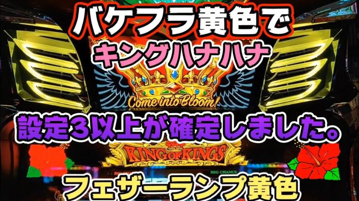キングハナハナ レギュラーで【フェザーランプ黄色】が出た台の挙動は!?【ryupachiチャンネル沖縄パチンコ·パチスロ実践動画】#247