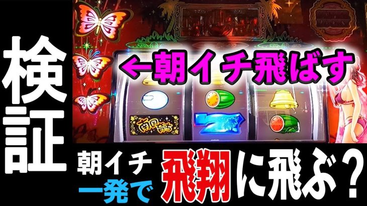 【南国検証】朝イチ一発で飛翔に〇台入った！朝イチ激ウマ！？ #21 【L南国育ち】【スマスロ】【新台】