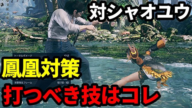 【ドラグノフ】シャオユウ対策！ 対鳳凰の構え対策に打つべき技はコレ！　Dragunov 【TEKKEN8　鉄拳8】