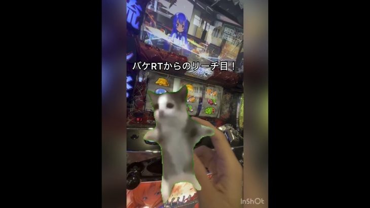 僕の食費が消えた日　#猫ミーム #スロット #スロット動画 #スロット実践