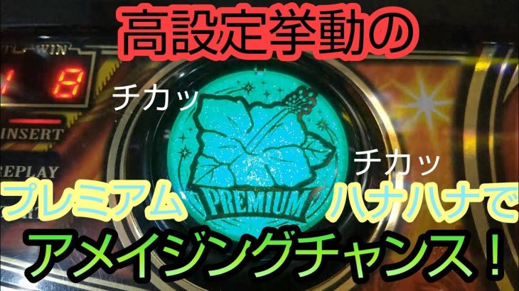 パチスロ【プレミアムハナハナ】でまたアメイジングチャンス！高設定挙動の結末は！？＃11