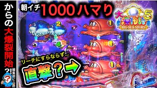 【P大海物語5】実践動画！(編集部ビル君実践動画2024/04/20）