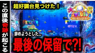 【622日目】大海物語5実践動画！こんな台出会った事ありますか？（ガチ実践動画2024/4/24）