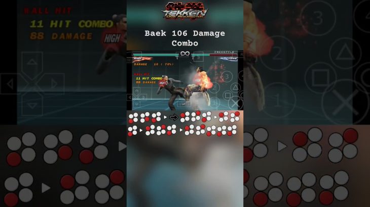 Baek 106 Damage Combo | TEKKEN 5:DR #tekken #tekken5darkresurrection #combo #ppsspp